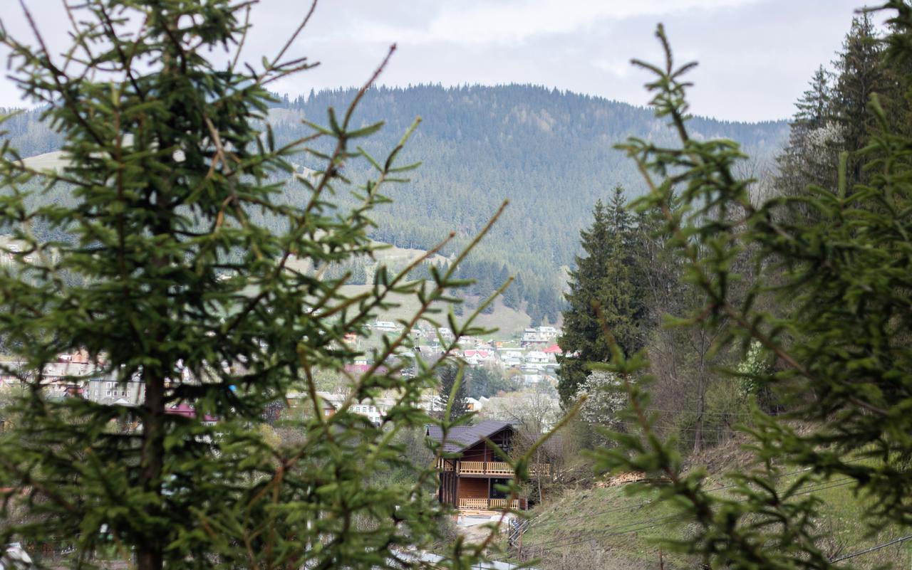 Vila Karpatska Oselia Verchovyna Exteriér fotografie