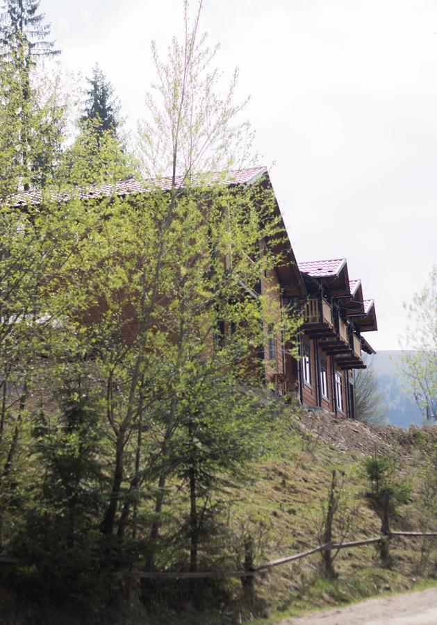 Vila Karpatska Oselia Verchovyna Exteriér fotografie